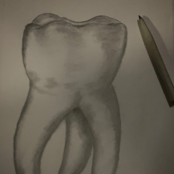 Meet your Posher, Christine - Picture 1 of 1